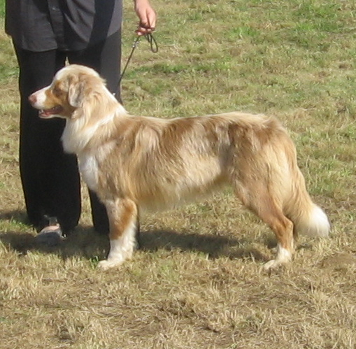 Bagheera de la Vallée de l'Hyrome